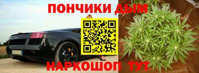 крисы Бузулук