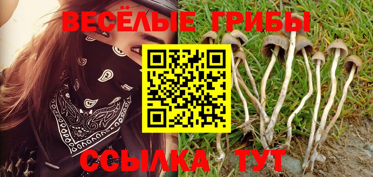Галлюциногенные грибы Cubensis Ревда