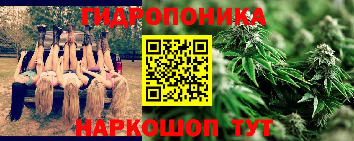 Канабис планчик  Вход с VPN  Ревда  Бошки марихуана марихуана  МАРИХУАНА семена  Канабис сатива 